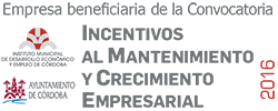 incentivos incentivos